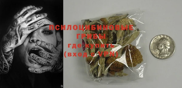 ПСИЛОЦИБИНОВЫЕ ГРИБЫ Алзамай