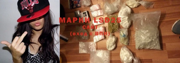 ПСИЛОЦИБИНОВЫЕ ГРИБЫ Алзамай
