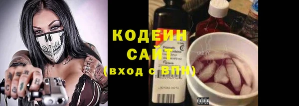 ПСИЛОЦИБИНОВЫЕ ГРИБЫ Алзамай