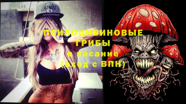 ПСИЛОЦИБИНОВЫЕ ГРИБЫ Алзамай